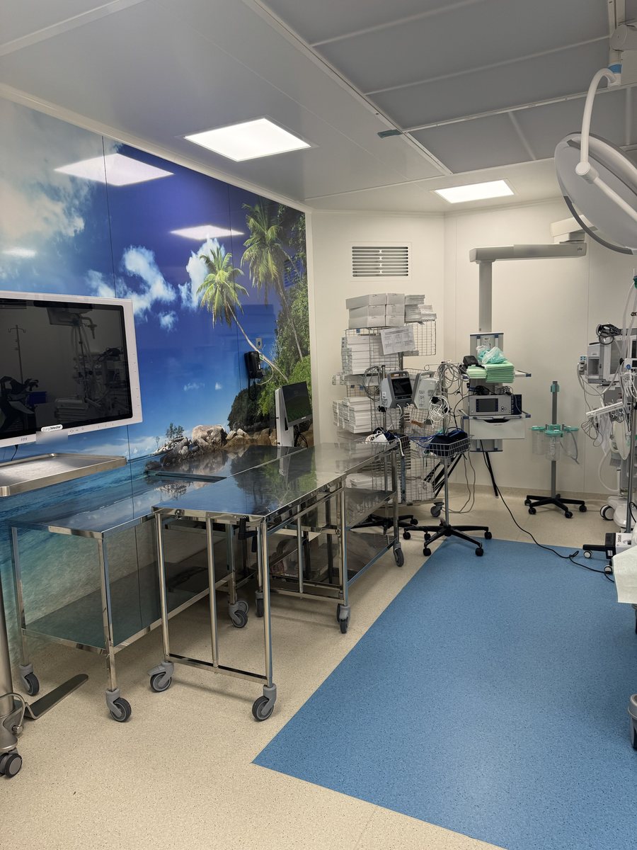 Un bloc opératoire : le mur peint d'une plage, les tables d'instruments et l'écran mural.